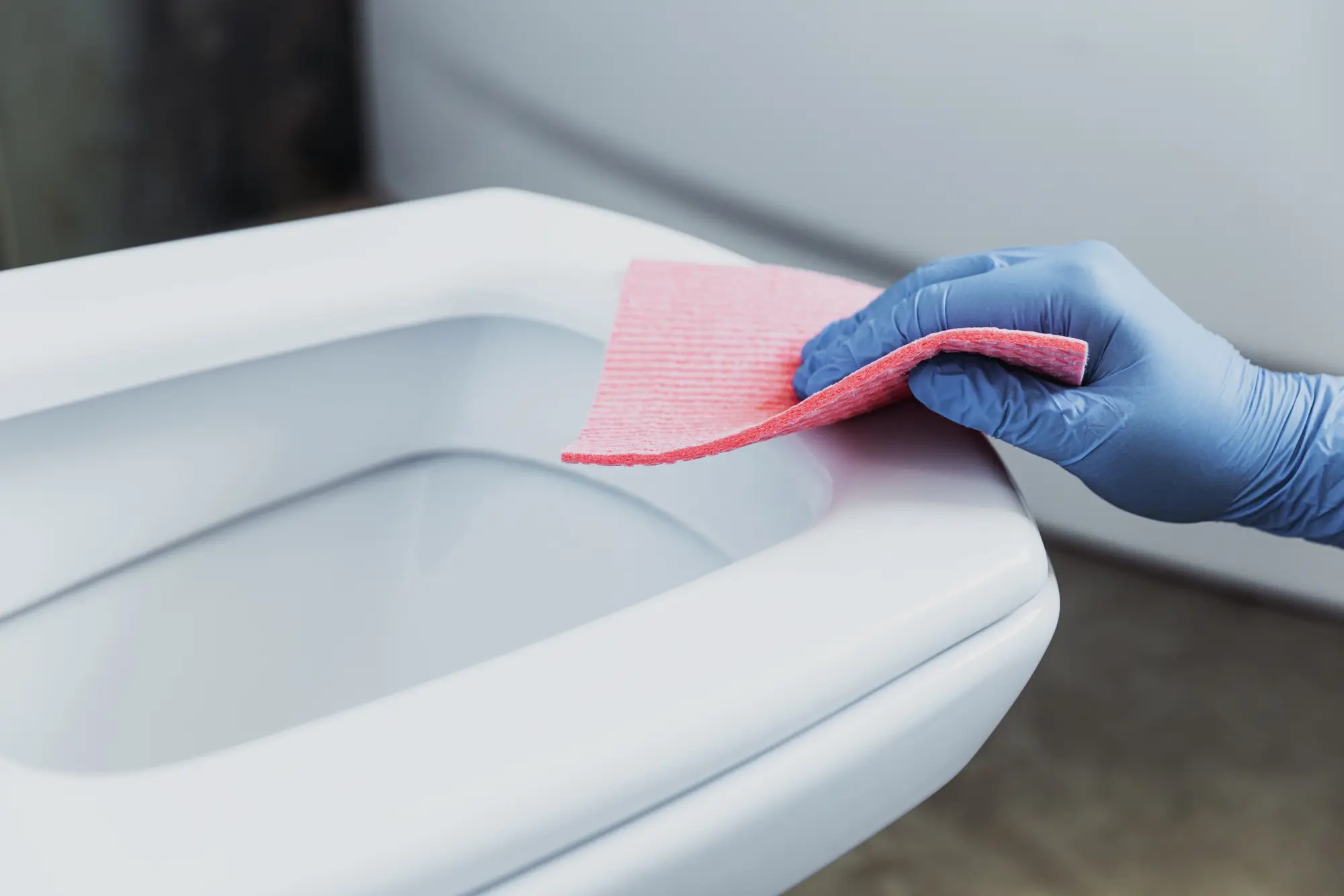 Woman hand cleaning toilet bowl, seat with detergent, pink cloth, wet wipe